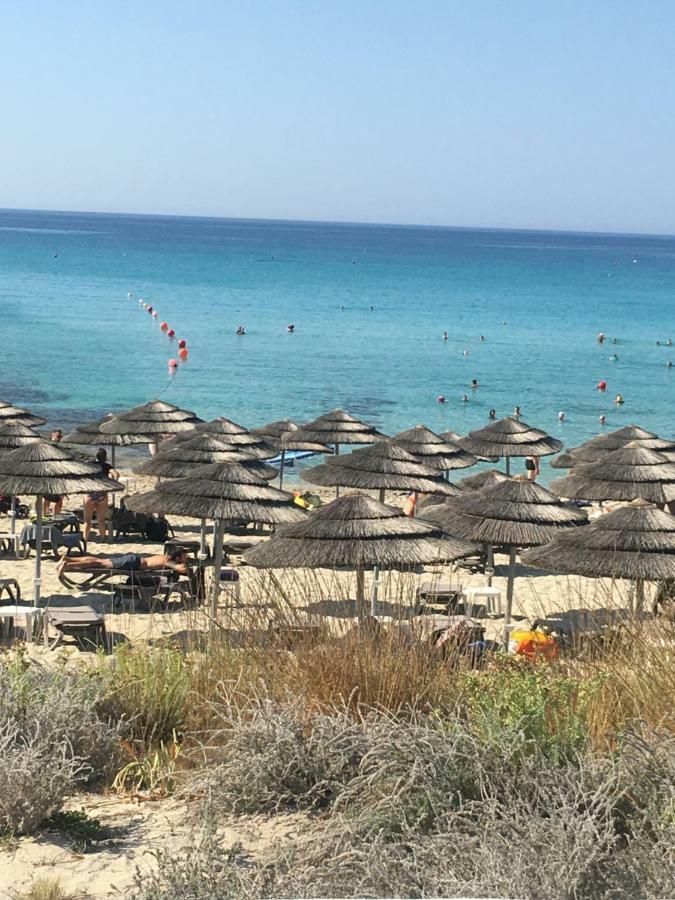 Narcissos 'Nissi Beach' Apartment C12 Ajía Nápa Kültér fotó