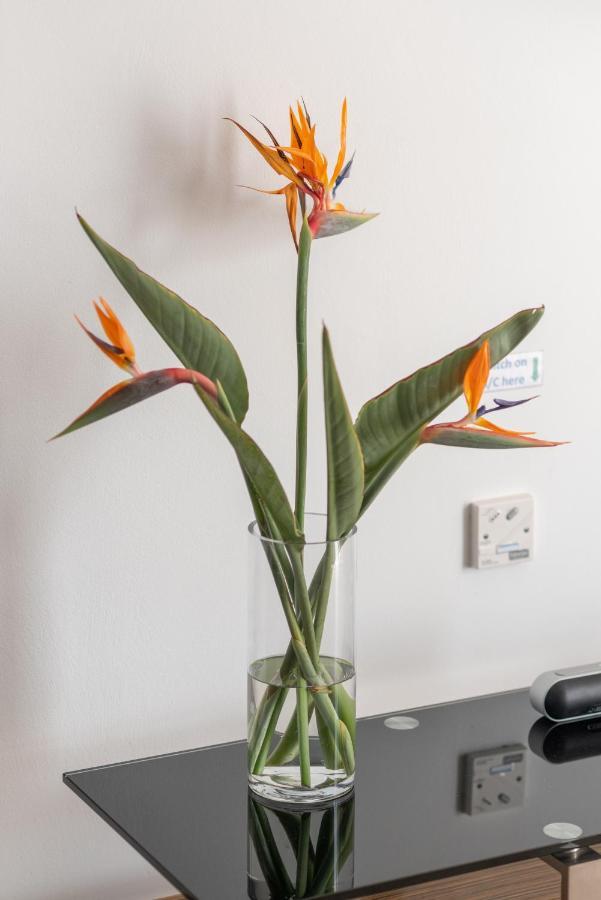 Narcissos 'Nissi Beach' Apartment C12 Ajía Nápa Kültér fotó